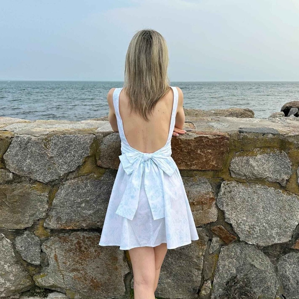 Women's Bow Back Mini A-Line Dress - Sky Blue Floral XS: Backless NWT